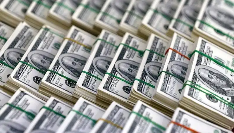 Doların Hızla Yükselişi: Ekonomi Uzmanları Uyarıyor