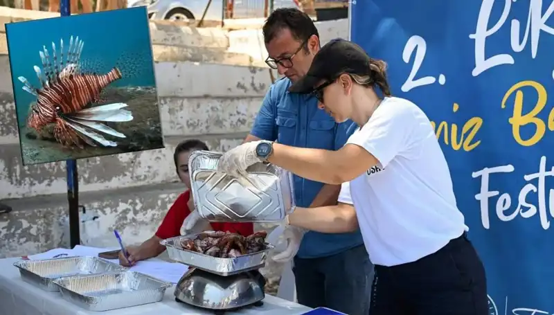 Antalya'da İstilacı Aslan Balığı Avlama Yarışması: Denizin Mücadelesi