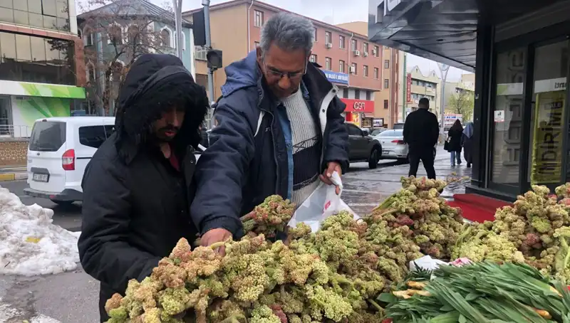 Kendiliğinden Yetişen Şifalı Bitki: Kanserin Yeni Umudu Olabilir Mi?
