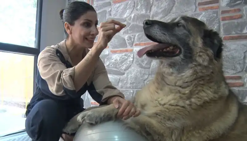 Obeziteyle Savaş: Duman’ın Pilatesle Dönüşümü ve Sağlık Yolculuğu