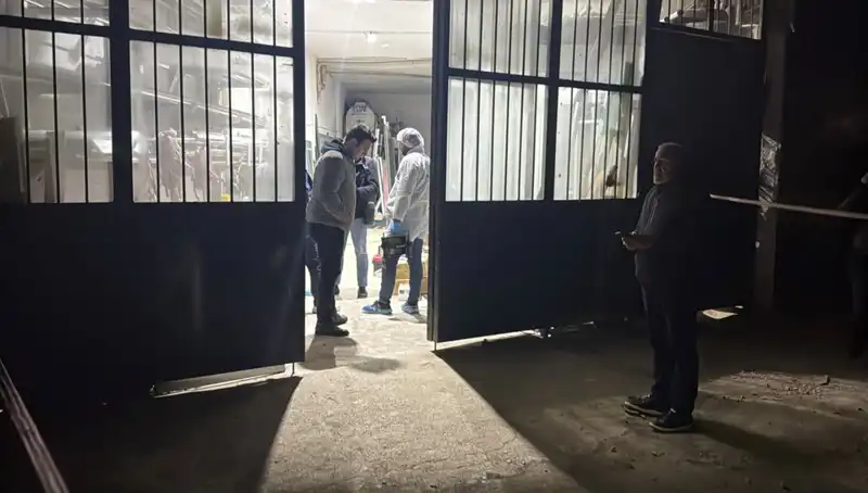 İş Yerinde Korkunç Cinayet: Sırrın Arkasında Yatan Gerçekler