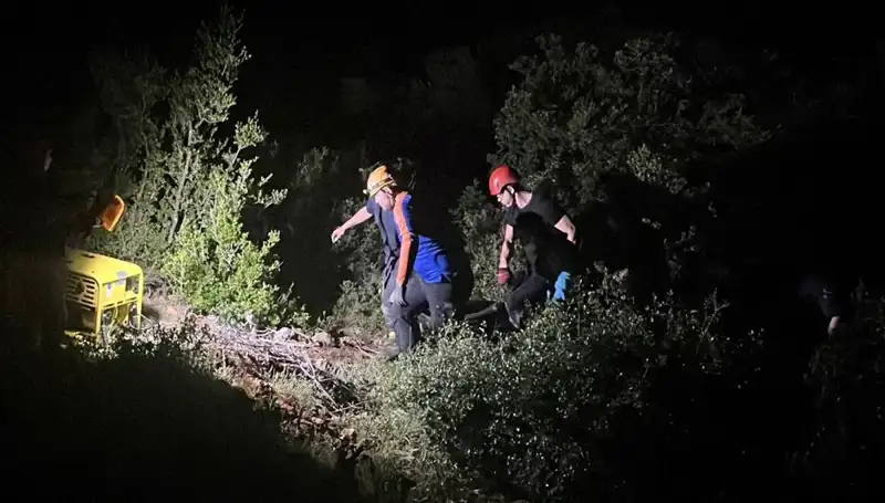 Define Arayışı: Aileyi Düşüren Tehlikeler ve Kaybolan Hayatlar